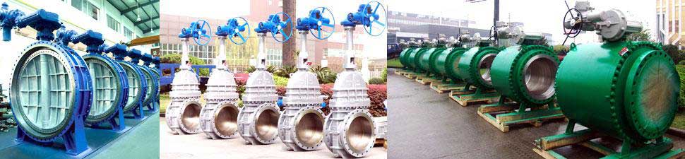 gate valve