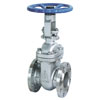 Class 150~1500 Cast Steel Gate Valve