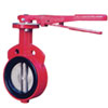 PN6~PN16 Wafer Type Soft-Seal Butterfly Valve 