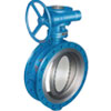 Class 125~300 Triple Offset Metal Seal Butterfly Valve 