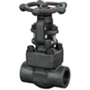 Class 150~1500 Forged Steel Bolt Gate Valve