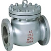 Class 150~1500 Swing Check Valve