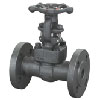 Class 150~1500 Forged Steel Flanged End Gate Valve