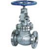 Class 150~1500 API Cast Steel Globe Valve 