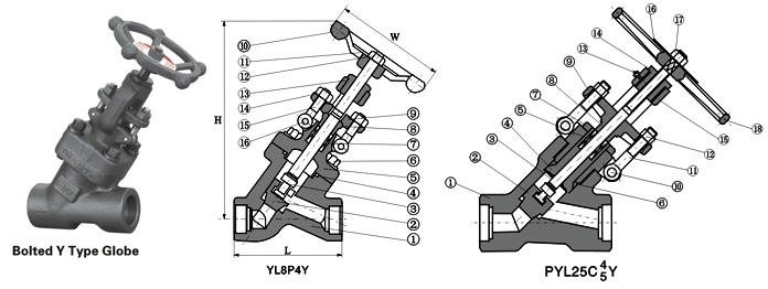 Class 800~2500 Y-Pattern Globe Valve 