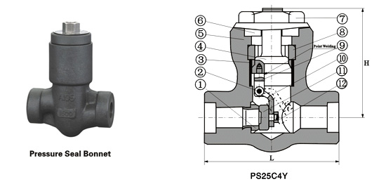 Class 900~2500 Pressure-Seal Swing Check Valve