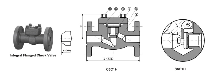 Class 150~1500 Flanged End Check Valve